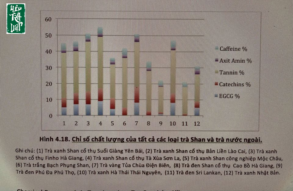 Bảng đánh giá chất của các dòng trà hiện nay