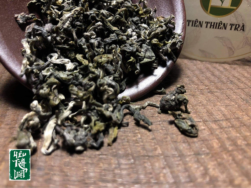 Các phẩm trà Shan tuyết cổ thụ của Tiên Thiên Trà