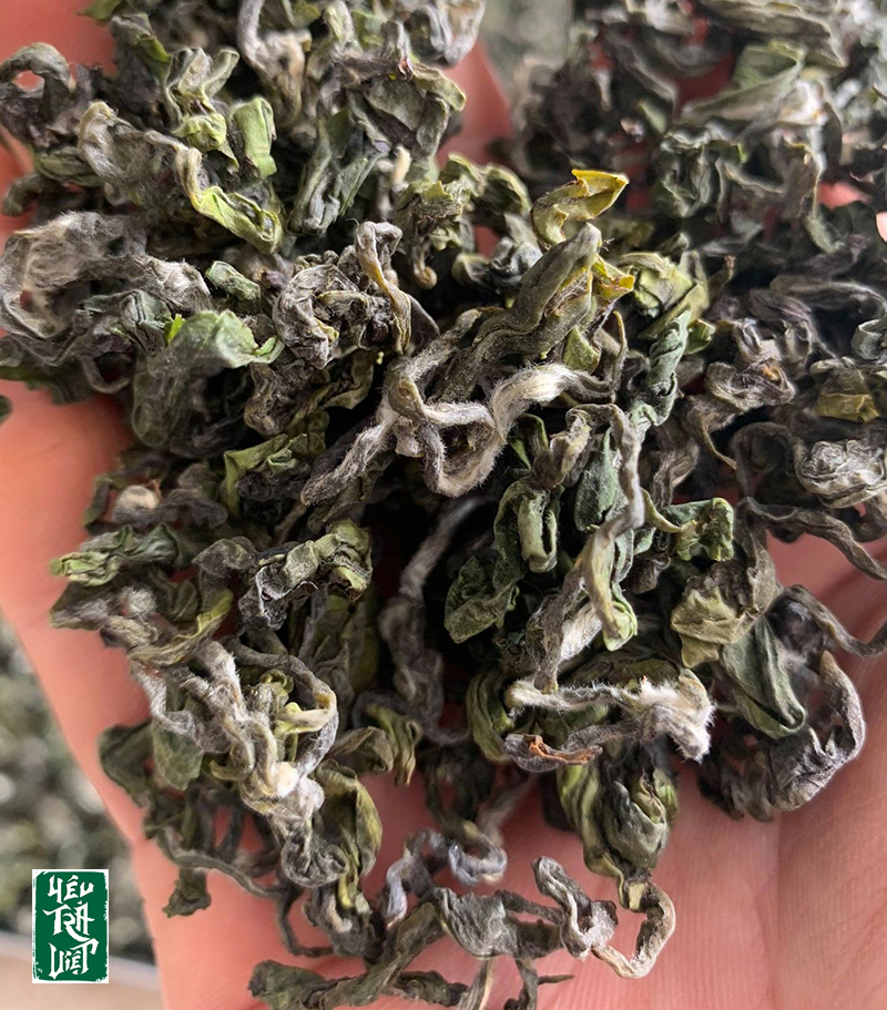 Các phẩm trà Shan tuyết cổ thụ của Tiên Thiên Trà