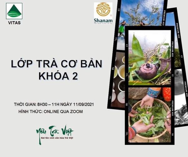 Khóa học trà online hoàn toàn miễn phí cho quý trà hữu 