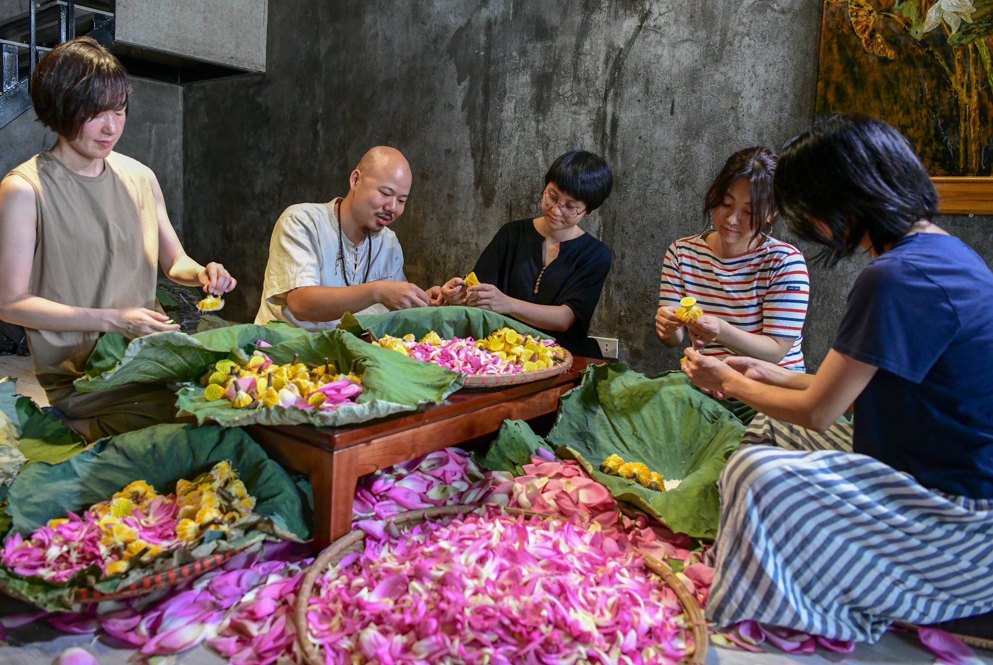 Trà Shan tuyết cổ thụ ướm cùng sen