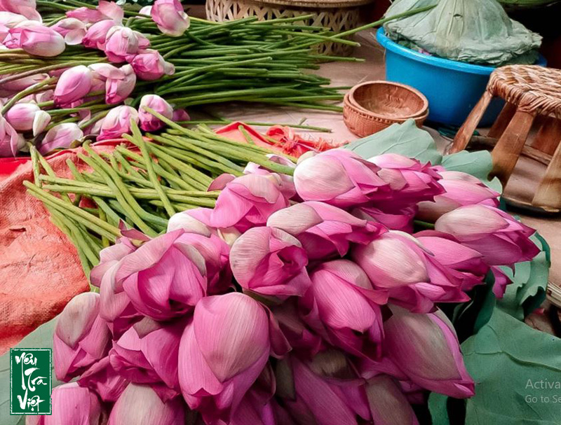 Tại sao lại gọi là Trà Sen Hồ Tây?