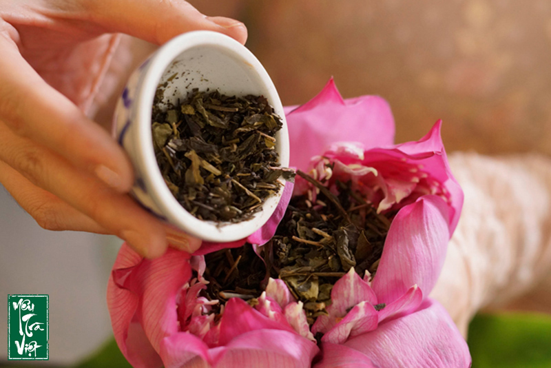 Kỹ thuật ướp trà sen vô cùng công phu và tỉ mỉ