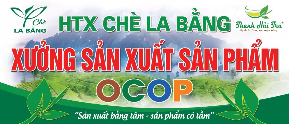 Thương hiệu HTX Chè La Bằng 