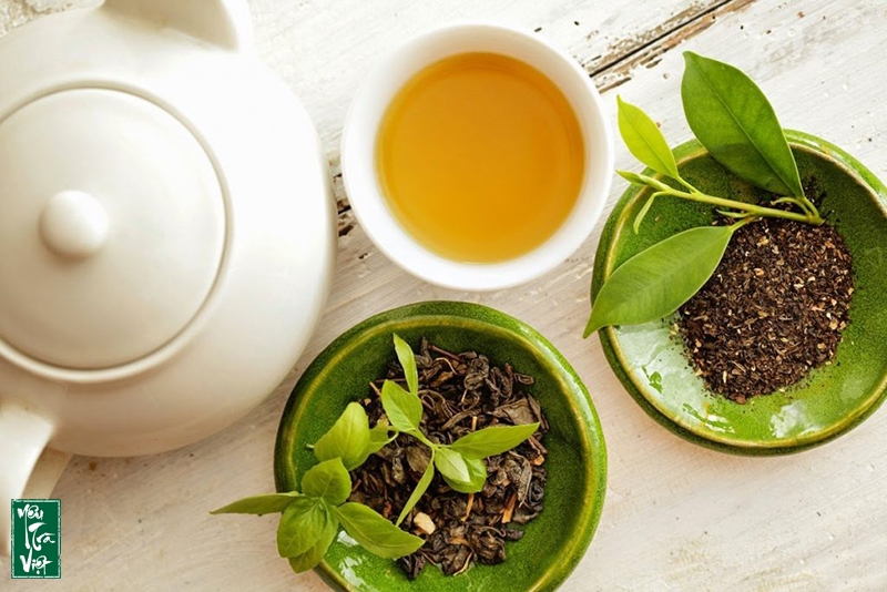 Trà xanh là thức uống được ưa chuộng nhất hiện nay