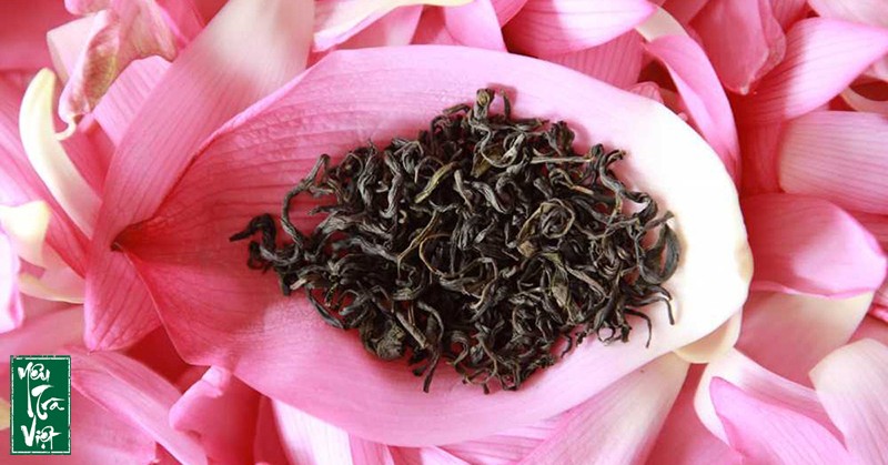 Sen được hái từ sáng sớm mang hương đồng gió nội