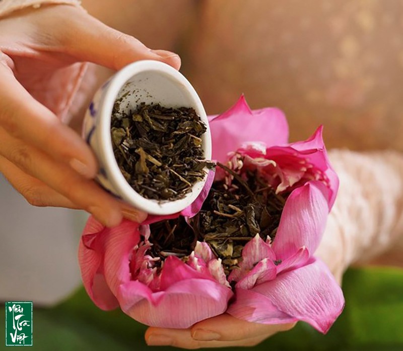Uớp trà sen cần chọn đúng tỉ lệ để mang đến hương vị thơm ngon