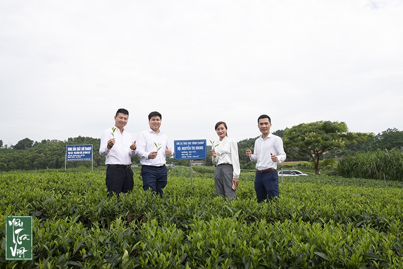 Hành trình xây dựng và phát triển cộng đồng là sự đồng lòng của những người yêu trà 