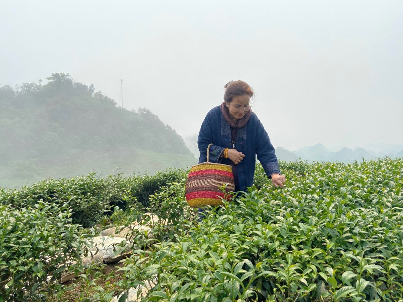 Tra Su Ngo Thi Thanh Tam 4