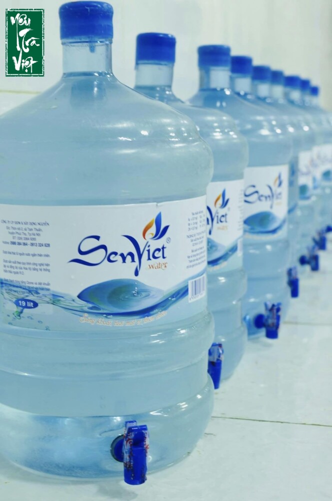 Hop Tac Cung Sen Viet 2