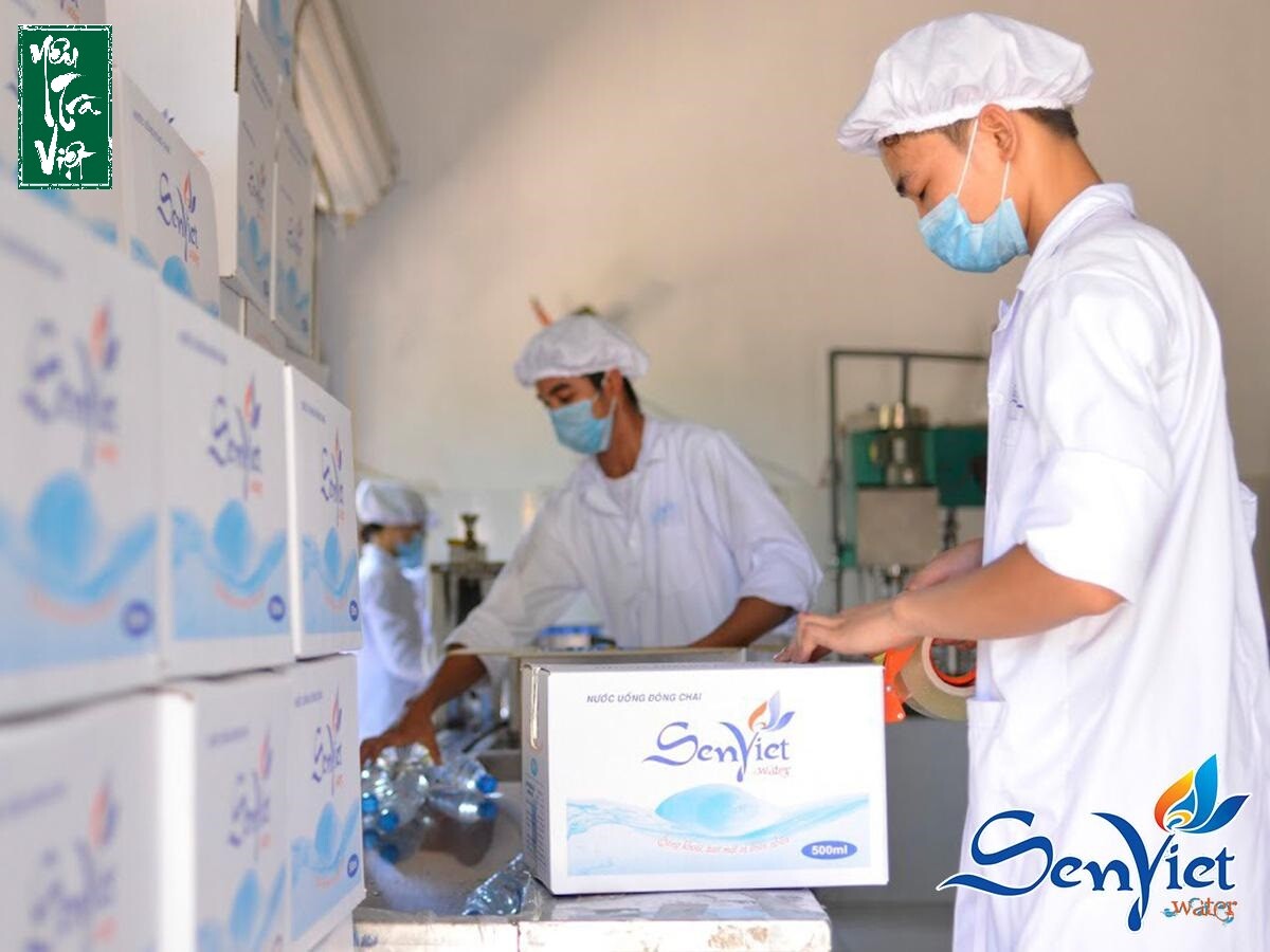 Hop Tac Cung Sen Viet 6