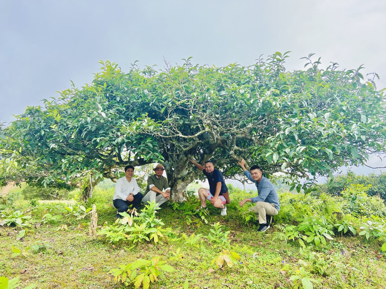 733d0e34 7832 486f 8c5f 8e38352805be