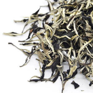 Bạch Trà Mây Tà Xùa Shanam