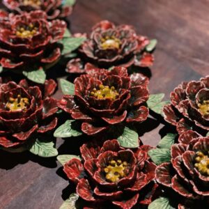 Hoa mẫu đơn đỏ – Thái Trần