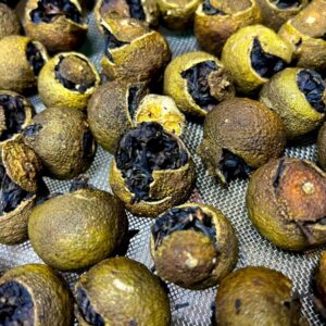 Trà Quýt Cổ Shanam