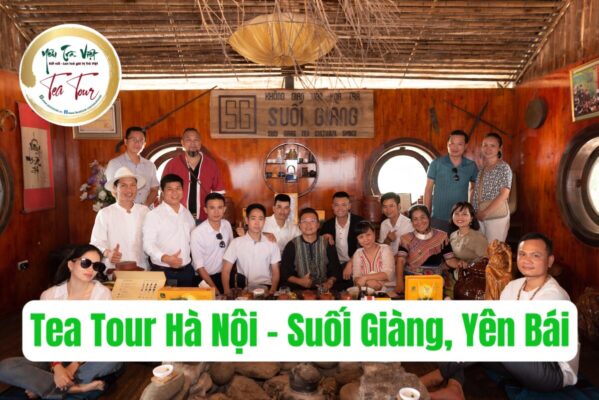 Tea Tour – Hành trình về với cây chè cổ thụ Suối Giàng, Yên Bái