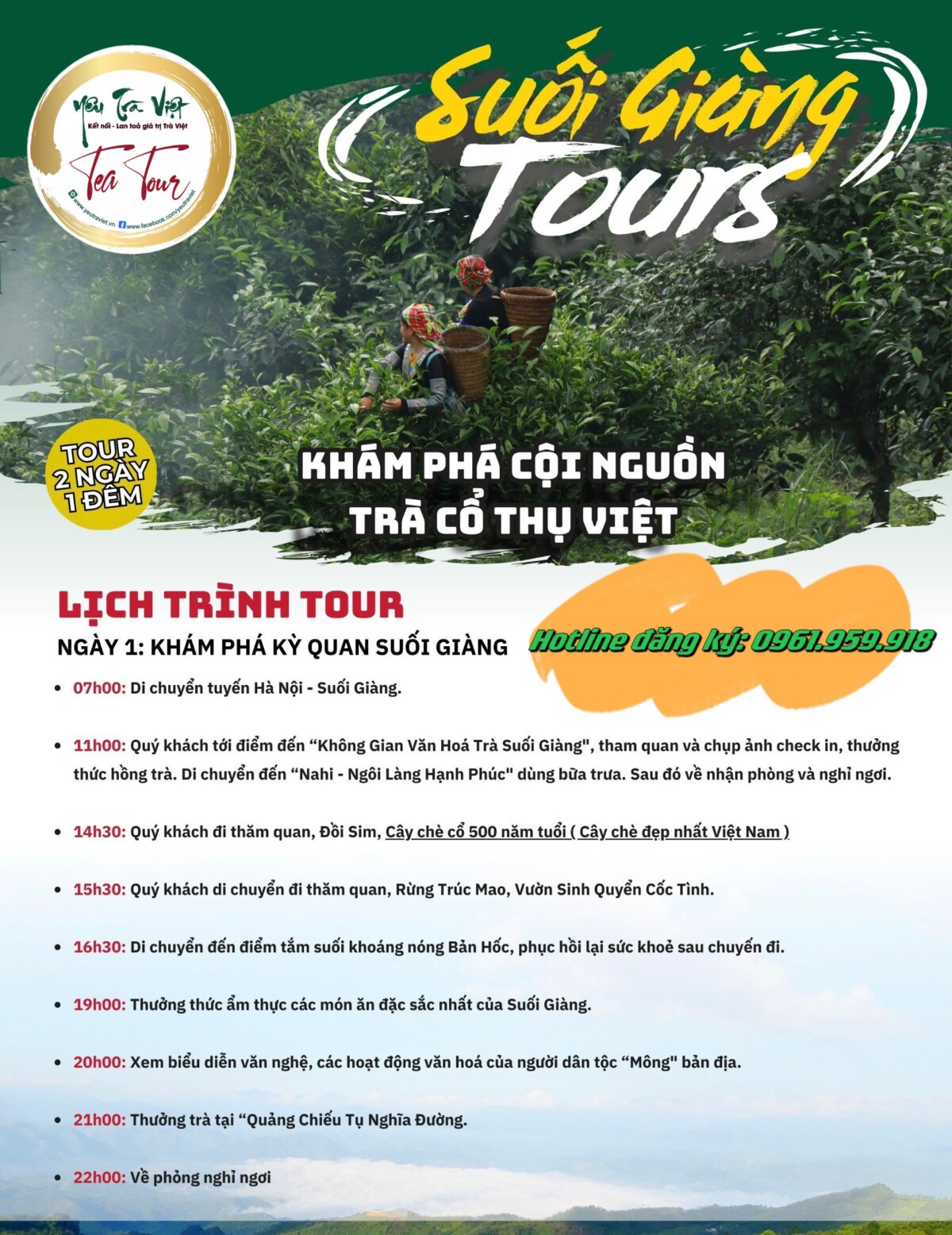 Tea Tour – Hành trình về với cây chè cổ thụ Suối Giàng, Yên Bái