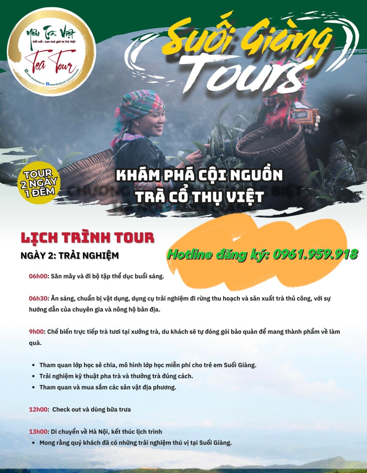 Tea Tour – Hành trình về với cây chè cổ thụ Suối Giàng, Yên Bái