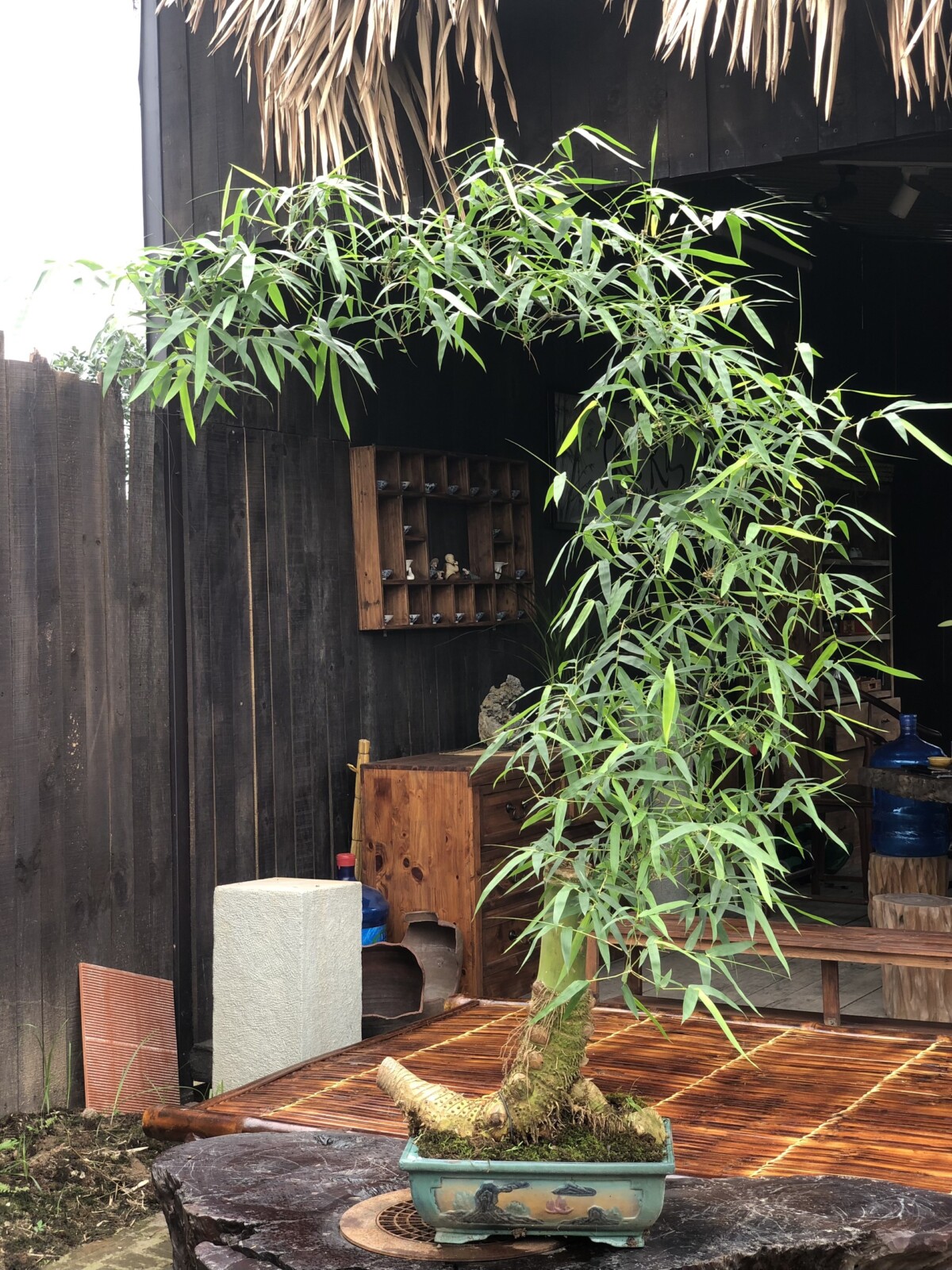 Tre Decor Phòng Trà