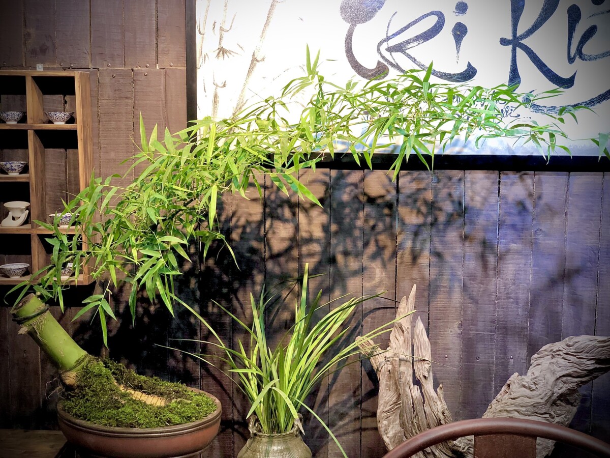 Tre Decor Phòng Trà