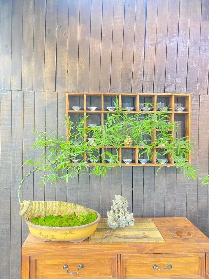 Tre Decor Phòng Trà