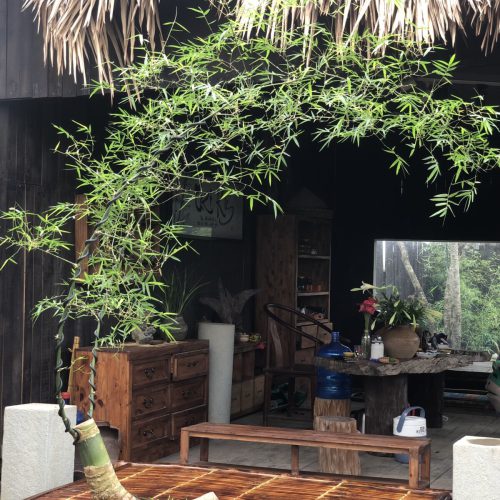 Tre Decor Phòng Trà