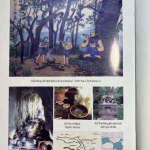 Sách Văn Minh Trà Việt – TG Trịnh Quang Dũng