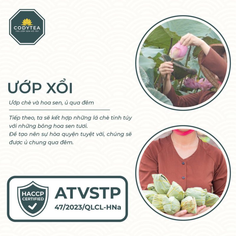 Hop truong tho 2 Trà Ướp Sen Hồ Tây CodyTea (Đại Thọ)