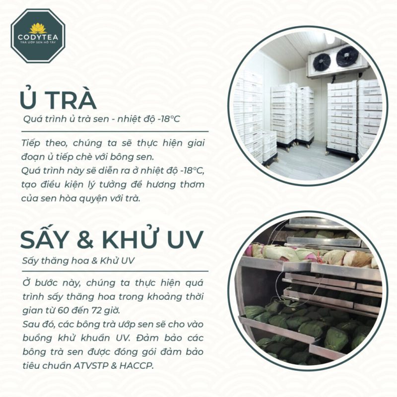 Hop truong tho 3 Trà Ướp Sen Hồ Tây CodyTea (Đại Thọ)