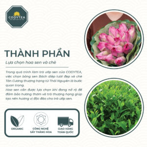 Trà Ướp Sen Hồ Tây CodyTea (Đại Thọ)