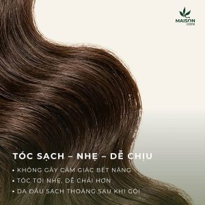 Bai06_DauGoi_2 Dầu gội tinh chất Trà shan tuyết cổ thụ