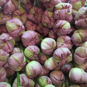 Trà Sen Xổi 05 Bông Trà sen Tây Hồ - Trà sen xổi Nghệ Nhân Cao Sơn
