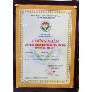 Trà Hoa Vàng Thượng Phẩm - Golden Camelia