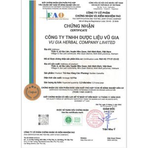 Trà Hoa Vàng Thượng Phẩm - Golden Camelia