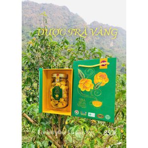 Trà Hoa Vàng Thượng Phẩm - Golden Camelia