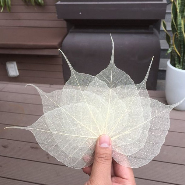 Tranh lá Bồ đề - Decor Không gian Phòng trà (Nhiều Size)