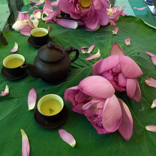 05 Bông Trà sen Tây Hồ - Trà sen xổi Nghệ Nhân Cao Sơn