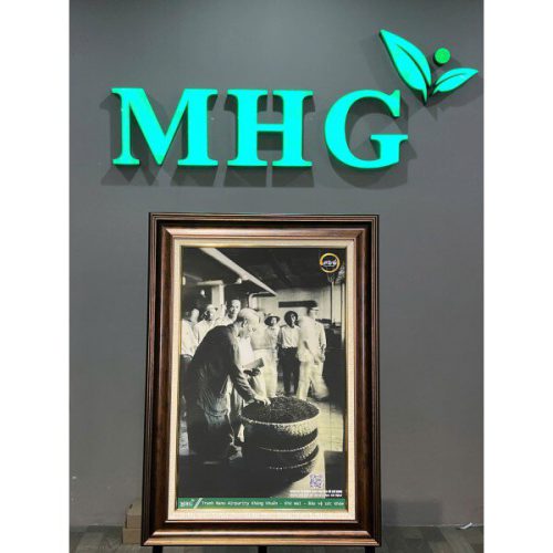 Tranh Bác Hồ thăm nhà máy chè - Nano kháng khuẩn  KT50x70cm