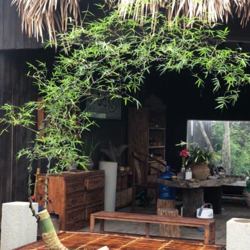 Tre Decor 5,3tr Tre Decor Phòng Trà