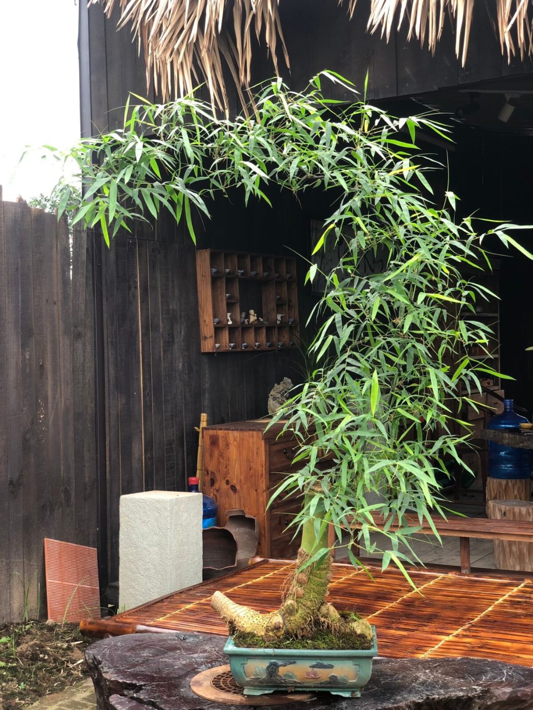 Tre Decor Phòng Trà
