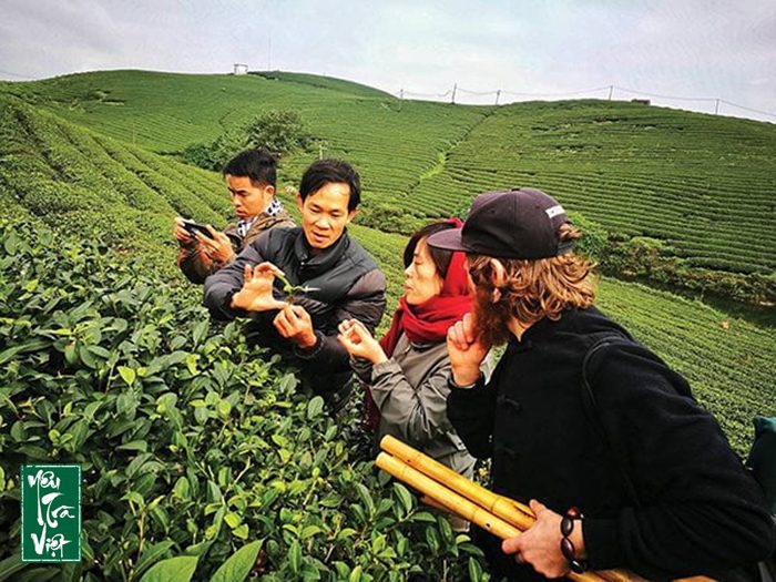 Những câu chuyện khởi nghiệp với trà được cập nhật thường xuyên trên các trang truyền thông của YTV