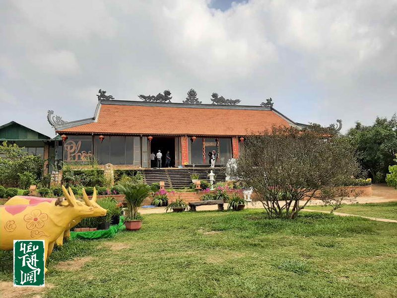 Không gian tuyệt vời để ngắm cảnh thưởng trà