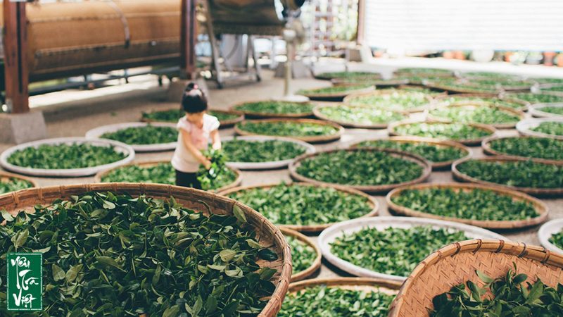 Nâng cao nhận thức về lịch sử lâu đời và kinh tế – văn hóa 