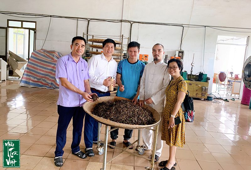 Đội ngũ Yêu trà Việt thăm khu vực sản xuất chè của trung tâm nghiên cứu 