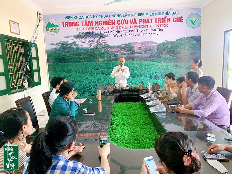 Người truyền cảm hứng về trà Thái Quang Đức đã hướng dẫn cho mọi người các cách pha trà