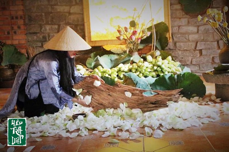 Nghệ thuật ướp sen, hương trà quyện vị sen 